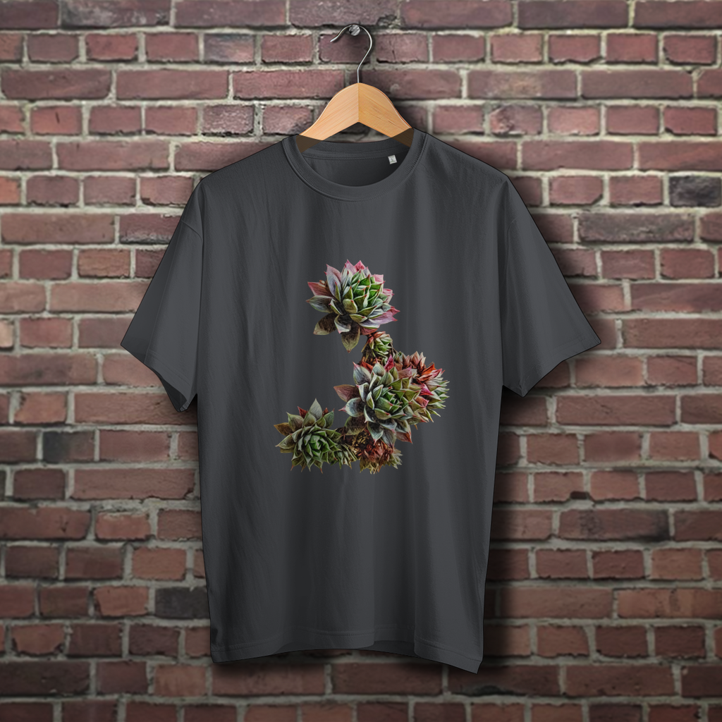 UNISEX. Oversize Sukkulente