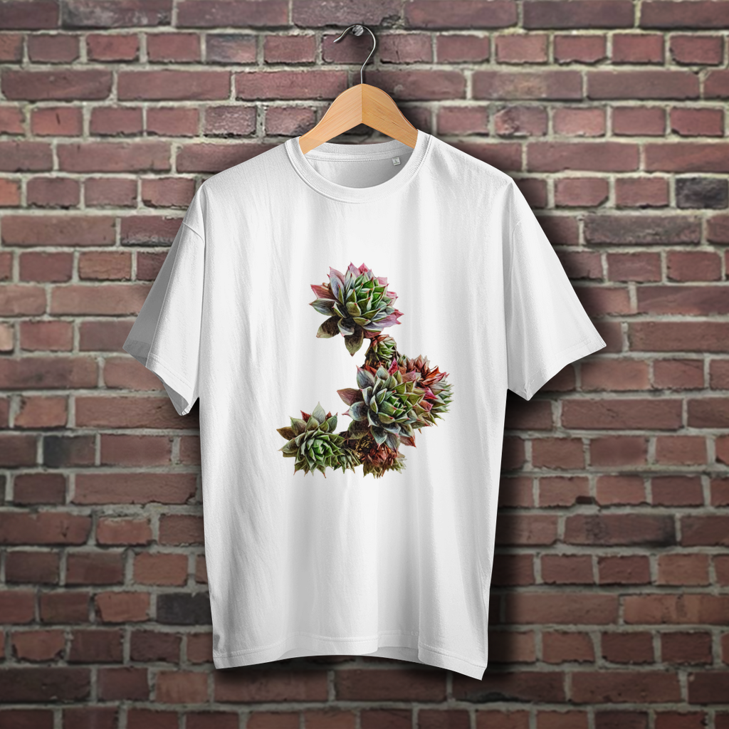 UNISEX. Oversize Sukkulente