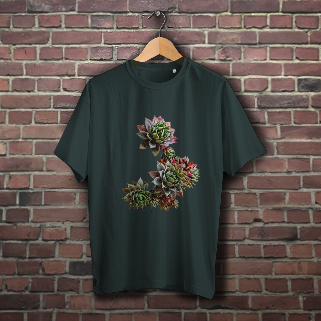 UNISEX. Oversize Sukkulente