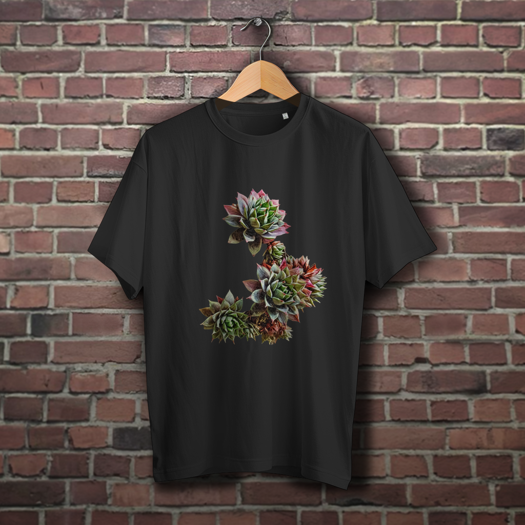 UNISEX. Oversize Sukkulente